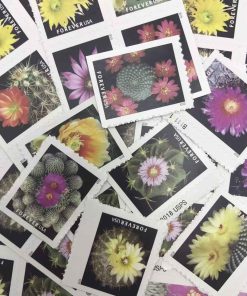2019 Cactus Flowers Forever Stamps 100 pcs