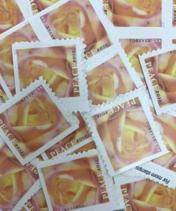 2018 Peace Rose Forever Stamps