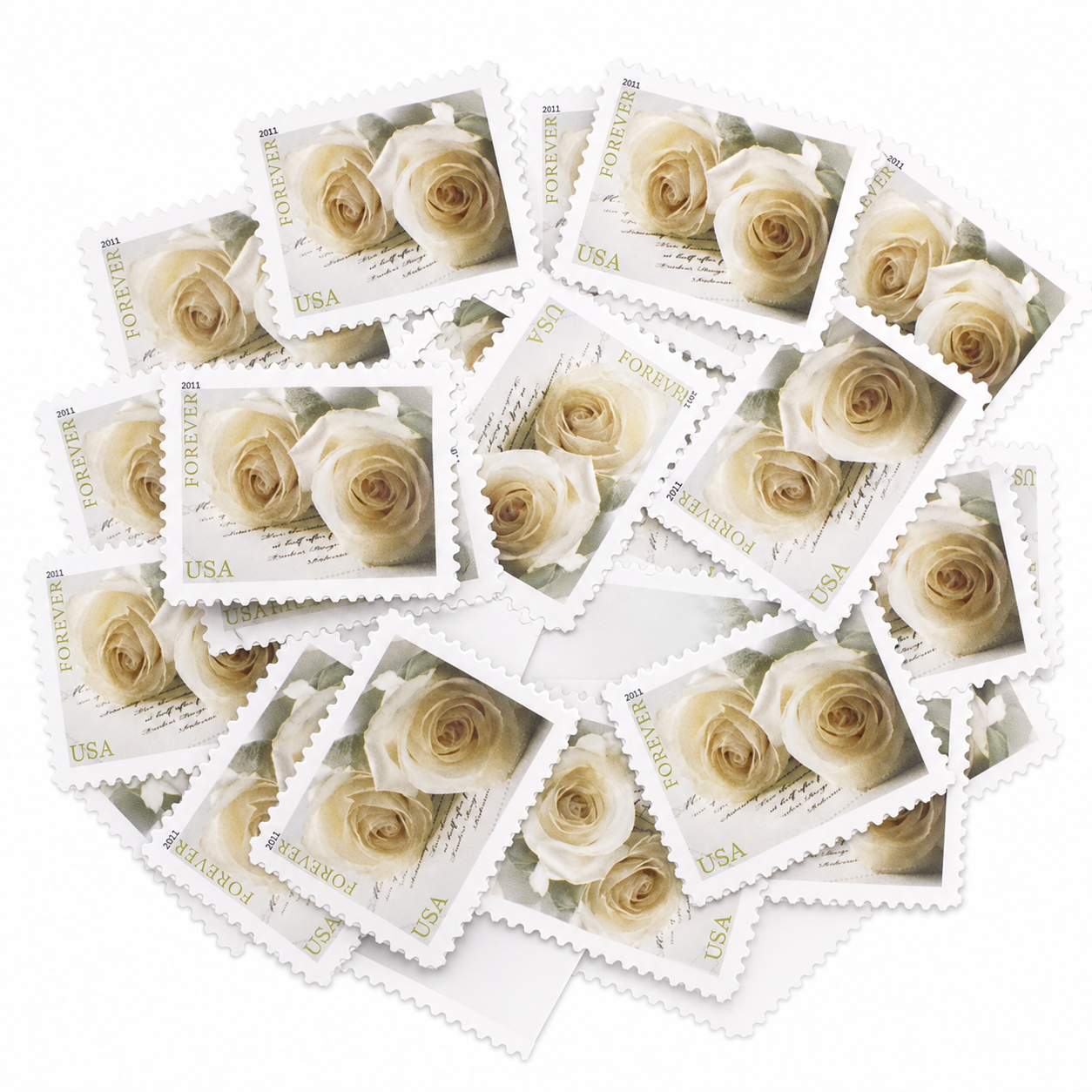 candidate-2011-wedding-roses-v1.png