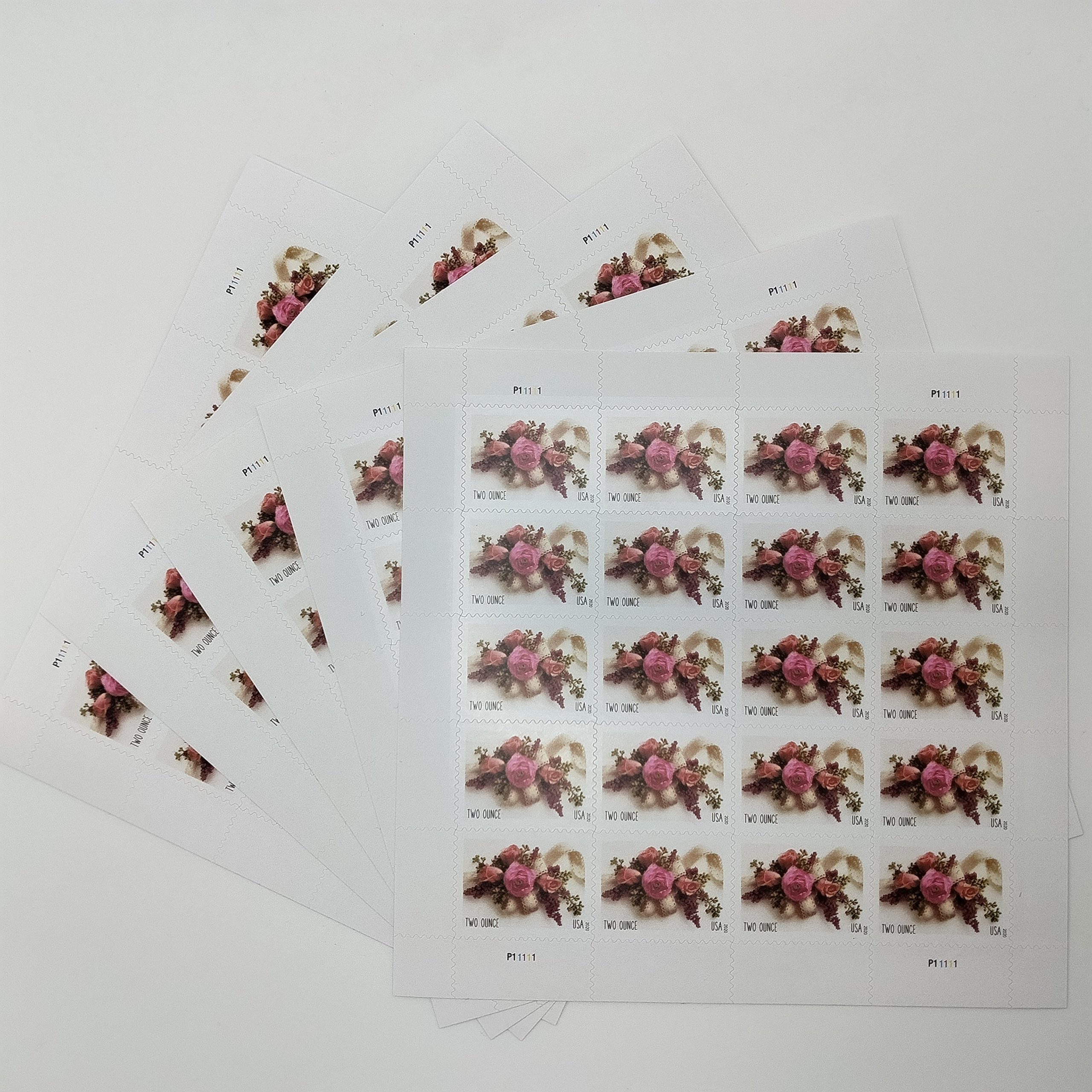 h355532.jpg